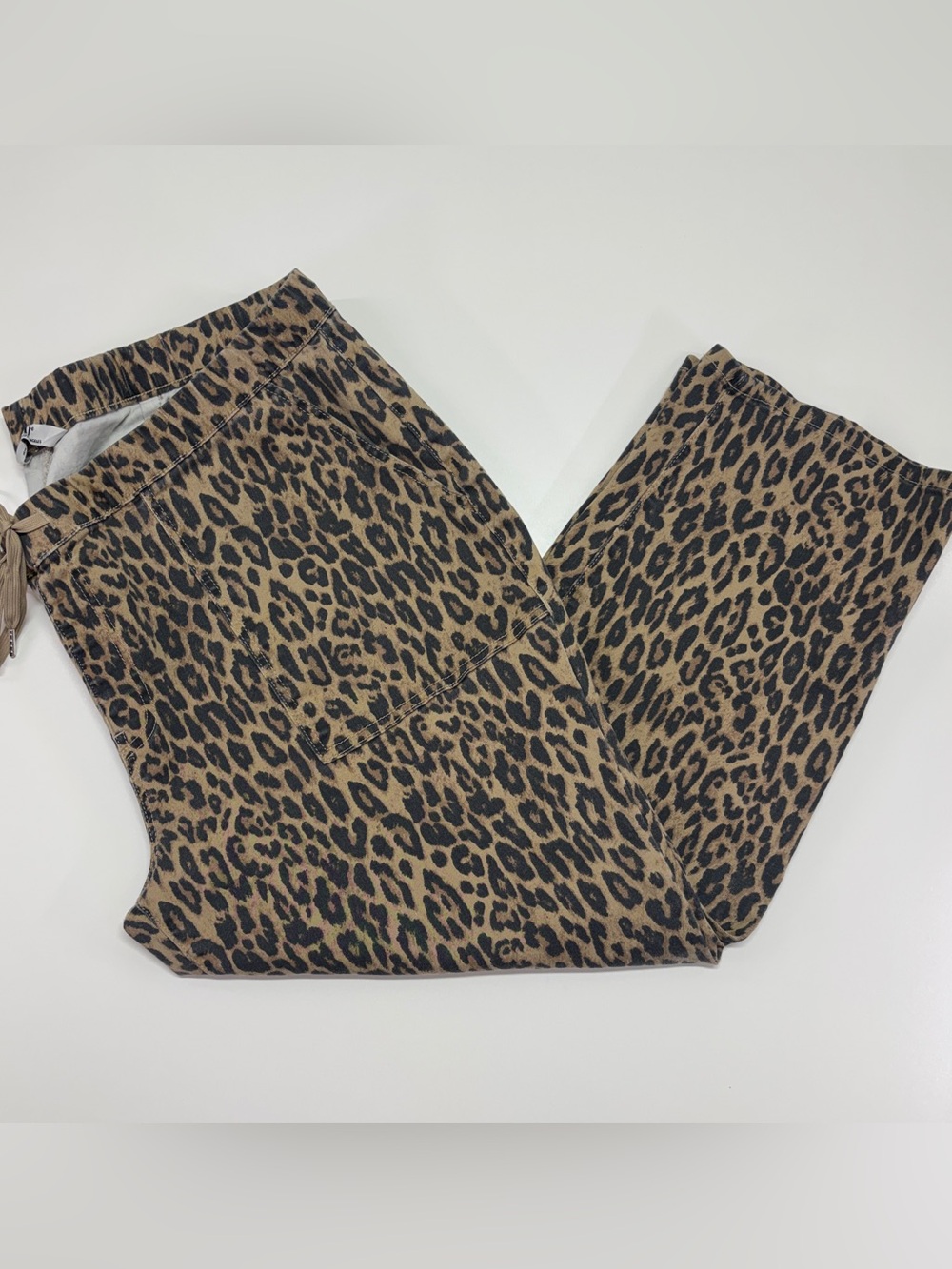 YMI Leopard Print Pull On Skinny Jeggings 3X Y2K Animal Print